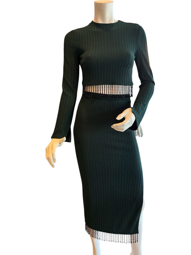 Saylor bead Fringe mock neck plisse top/skirt set forest XS